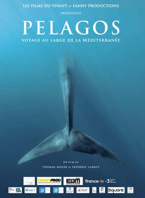 Projections & Débats : "Pelagos, voyage au large de la Méditerranée" avec Frédéric Larrey - Casa di e Scenze