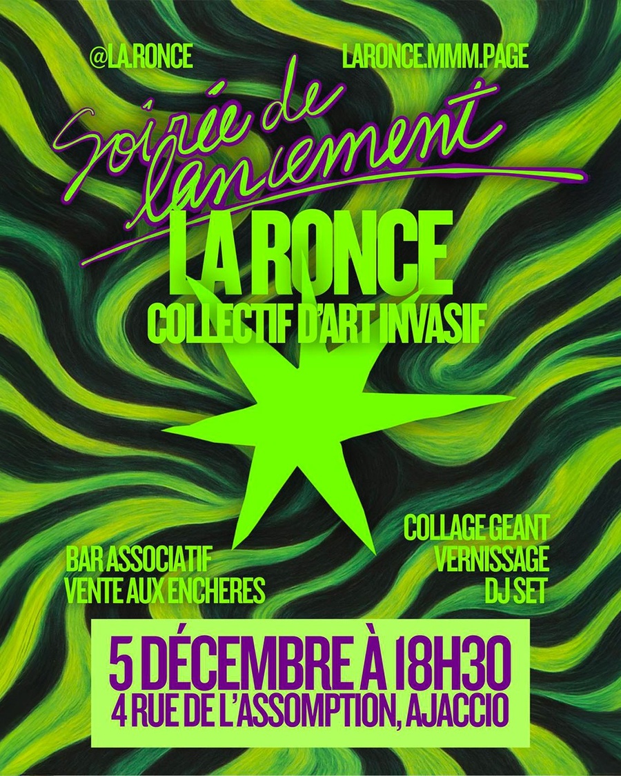 Festival d'art invasif : Zimbru - Vernissage à la Galerie La Ronce