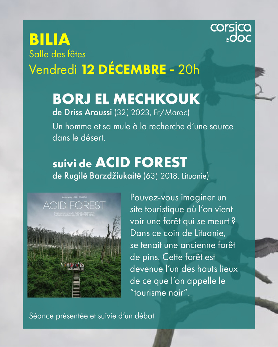 Ciné-village proposé par CORSICADOC / Projection des films "Borj el mechkouk" et "Acid forest" de Rugilė Barzdžiukaitė - Salle des fêtes