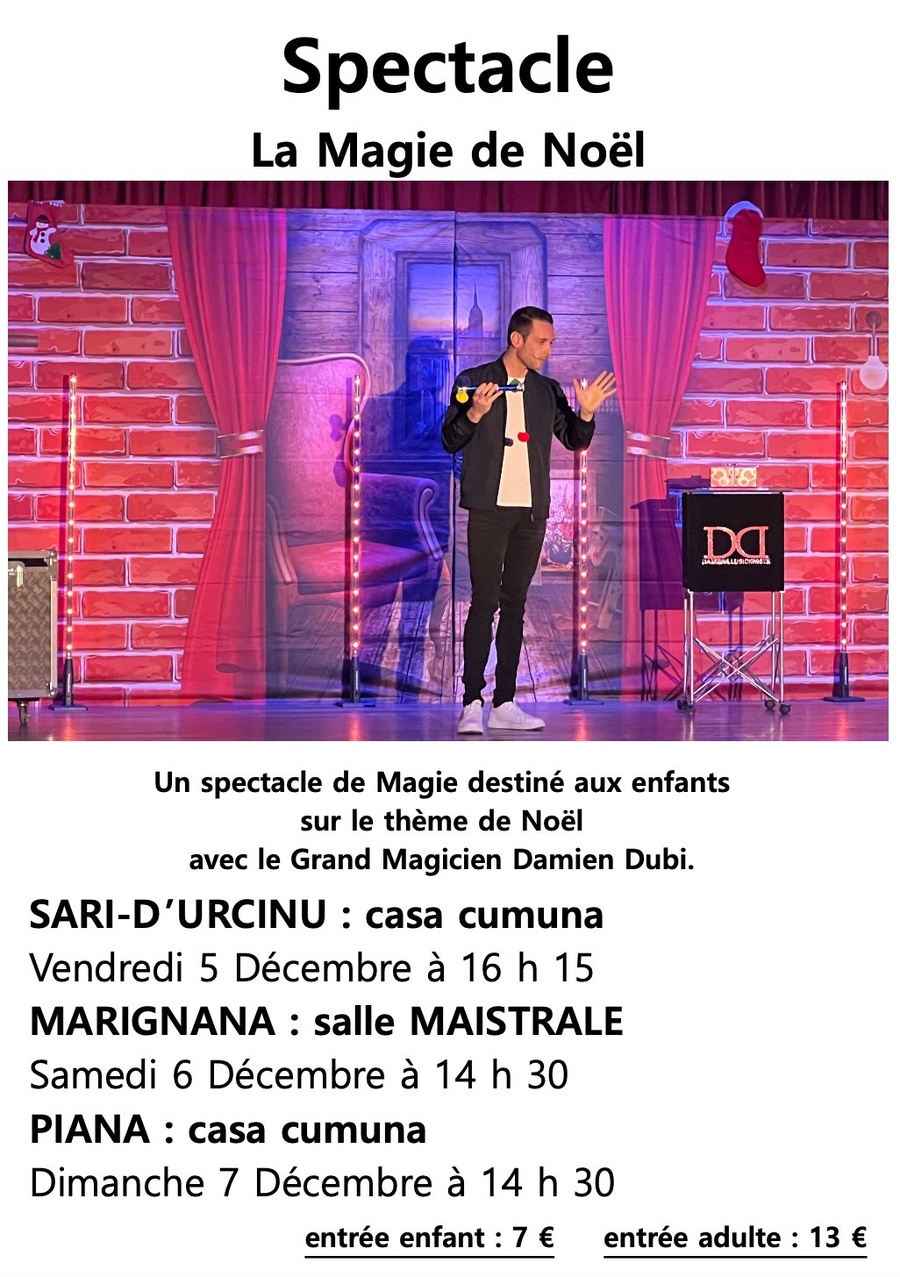 Spectacle : "La Magie de Noël" vec le Grand Magicien Damien Dubi - Casa cumuna
