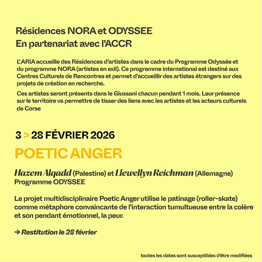 Résidence "Poetic Anger" avec Hazem Algadd (Palestine) et Lewellyn Reichman (Allemagne)- L'Aria