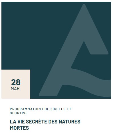 Atelier : La vie secrète des natures mortes - Médiathèque L'Arghja