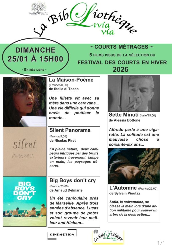 Projection de 5 courts métrages issus du festival "Des Courts en Hiver" - Salle des fêtes