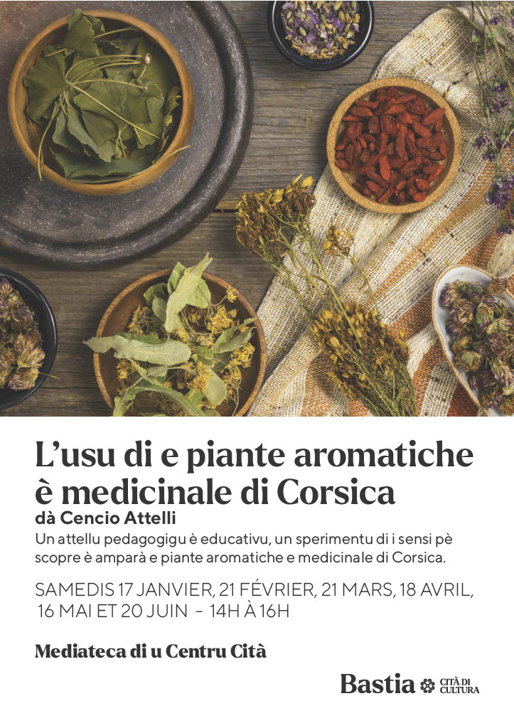 Atelier de découverte des plantes aromatiques et médicinales de Corse