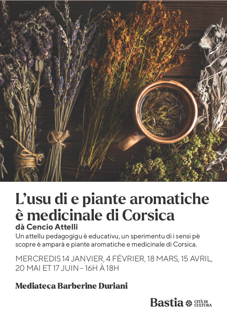 Atelier de découverte des plantes aromatiques et médicinales - Médiathèque Barberine Duriani