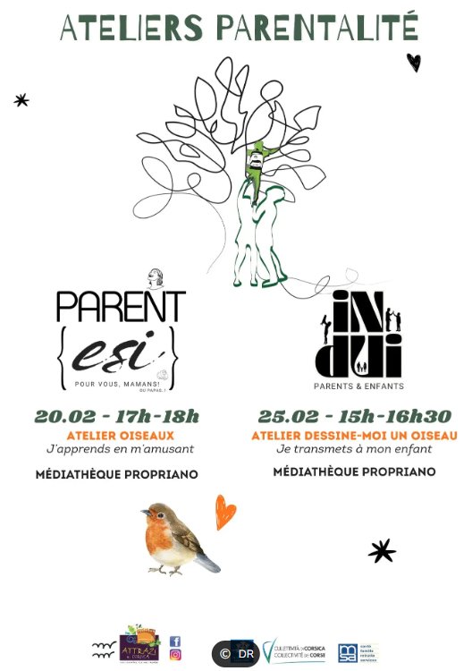 Ateliers Parentalité : Animations naturalistes autour des oiseaux - Médiathèque