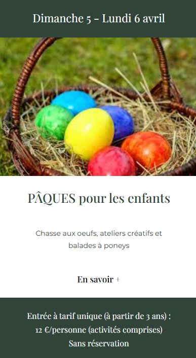 Ateliers créatifs et balades à poney pour les enfants - Parc de Saleccia