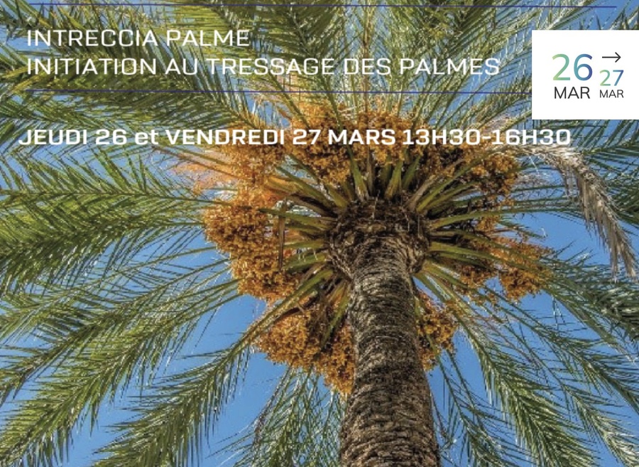 Atelier de tressage de palmes au Musée Archéologique de Mariana - Prince Rainier III de Monaco