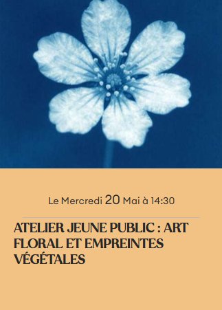 Micro-Folie / Atelier jeune public : Art floral et empreintes végétales - Médiathèque