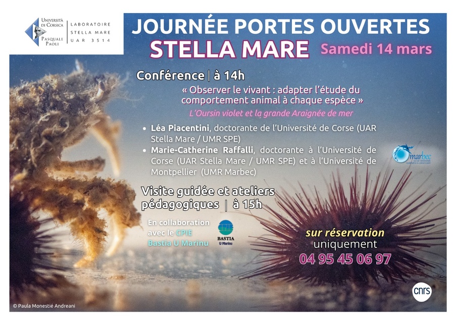 Journée Portes ouvertes Stella Mare : Conférence "Observer Le Vivant : adapter l'étude du comportement animal à chaque espèce" avec Léa Piacentini et Marie-Catherine Raffalli - Università di Corsica/CNRS