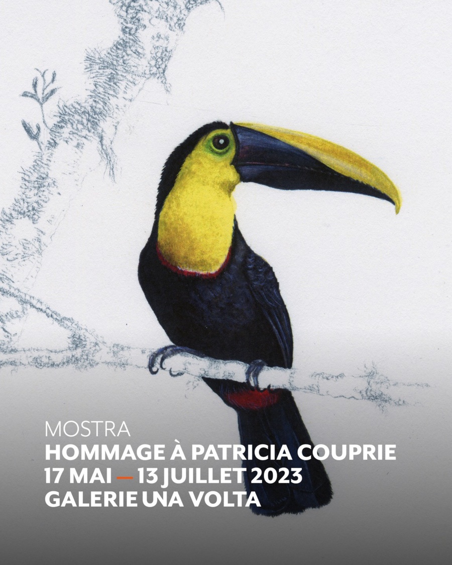 Mostra : Hommage à Patricia Couprie - Galerie Una Volta - Bastia