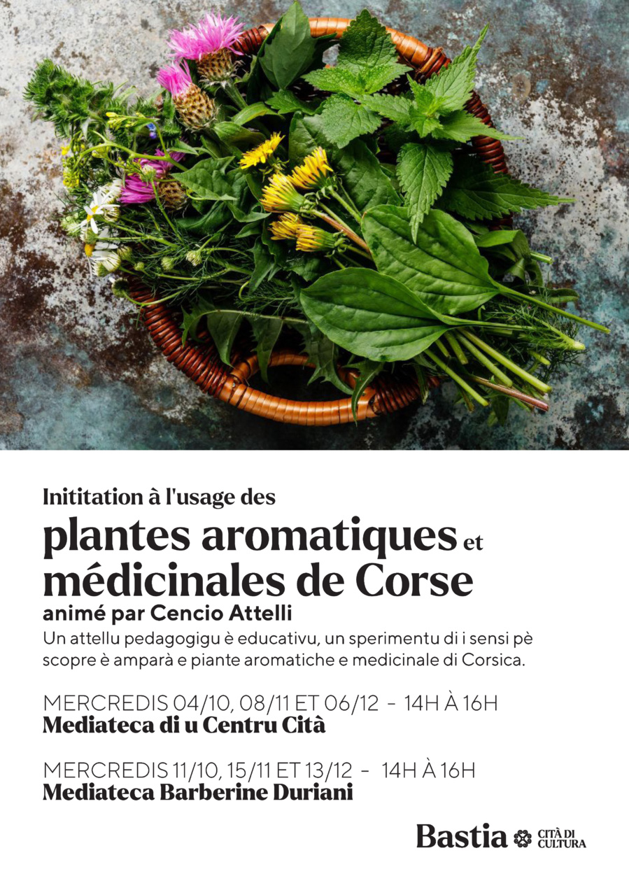 Atelier de découverte des plantes de Corse - Médiathèque Barberine Duriani - Bastia