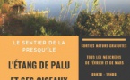 Sortie nature : Le sentier de la Presqu'île ; L'étang de Palu et ses oiseaux d'eaux - Vintisari 