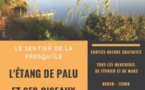 Sortie nature : Le sentier de la Presqu'île ; L'étang de Palu et ses oiseaux d'eaux - Vintisari 