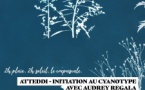 Ateliers : Initiation au cyanotype avec Audrey Regala - Médiathèque l'Animu - Portivechju