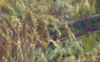 Stage de peinture « A la manière de Claude Monet » - Palais Fesch, Musée des Beaux-Arts - Aiacciu