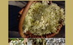 Atelier "Cosmétiques sauvages"  animé par Céline Boulongne, naturopathe - Mediateca di Prupià