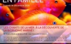 Atelier parent-enfant « Les chants de la mer : à la découverte de la biophonie marine ! »- Casa di e Scenze - Bastia