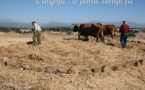 Rencontre / Conférence de Pierre-Jean Luccioni : "L’Arghja : U panu, tempi fà" - Salle du conseil municipal de la mairie - Santa Lucia di Portivechju