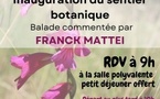 Sortie botanique animée par Franck Mattei proposée par le CPIE Centre Corse "A Rinascita" - Tallone