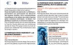 Atelier : La fabrique sous-marine / "La baleine à bosses"- Casa di e Scenze - Bastia