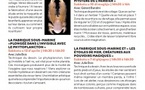 Atelier : La fabrique sous-marine / "Plongez dans l'invisible avec le Phytoplancton"- Casa di e Scenze - Bastia