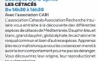 Atelier parent-enfant "Les cétacés"- Casa di e Scenze - Bastia