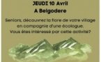 Promenade botanique avec "Sauvages & Gourmandes" - Belgudè