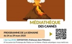 Adorables coccinelles en 3D - Médiathèque des Cannes - Aiacciu