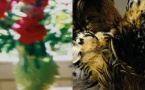 Exposition "Accords et Dissonances" en partenariat avec le FRAC Corsica - Palais Fesch - Aiacciu