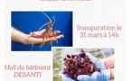 Exposition photographique "Stella Mare, une plateforme spécialisée dans l’ingénieure écologique marine et littorale" - Hall du bâtiment Desanti - Corti