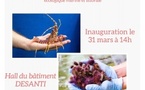 Vernissage de l'exposition photographique "Stella Mare, une plateforme spécialisée dans l’ingénieure écologique marine et littorale" - Hall du bâtiment Desanti - Corti