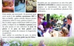 Le dimanche pour les enfants : Archéo-ateliers et balades à poney - Parc Galea - Tagliu è Isulacciu