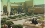 JACES 2025 / Animazione : Giardinu Musicale - Jardins, Bat. Guelfucci, Campus Mariani - Corti