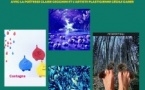 Restitution de la résidence partagée de création artistique autour de la Création d’un livre objet animé avec la poétesse Claire Cecchini et l’artiste plasticienne Cécile Carer - Médiathèque de Castagniccia Mare et Monti - I Fulelli 