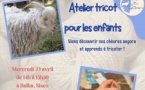 Atelier Tricot pour les enfants - La Chèvrerie - Siscu 