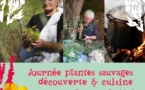 Découverte des plantes sauvages proposée par Anima Salvatica avec Francesca Desideri - À Magna Sottana - Ruglianu