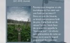 Ciné-village proposé par CORSICADOC / Projection du film "Acid forest" de Rugilė Barzdžiukaitė suivie d'un débat - Bilia