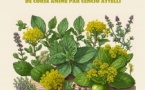 Atelier : L'usage des plantes aromatiques et médicinales de Corse animé par Cencio Attelli - Médiathèque Centre Corse - Corti