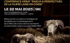 "Lana in festa" / Conférence-débat "Enjeux & perspectives de la filière laine en corse"- Salle d'immersion de l'UMR LISA - Università - Corti