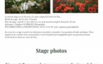 Stage photo animé par Stéphane Guiraud : Apprendre à regarder - Parc de Saleccia - L'Isula
