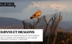 Exposition photographique de Fiora Garenzi « Djinns et Dragons » - Centre Culturel Alb'Oru - Bastia