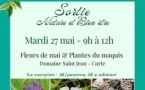 Sortie Nature : Fleurs de mai & Plantes du maquis organisée par l'Operata du CPIE A Rinascita - Domaine Saint-Jean - Corti