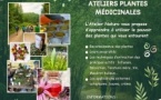 Journée de formation "Plantes médicinales" - Barbaggio - Patrimoniu