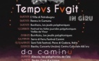 Concert de Tempvs Fvgit - Eglise - E Ville di Petrabugnu