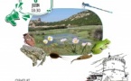 Conférence et exposition sur la biodiversité des mares avec Laurent Sorba de l’Office de l’Environnement de la Corse - Tour de Campumoru - Belvidè è Campumoru	 
