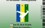 1er Festival de Capoeira / Stage de Capoeira - COSEC - L'Isula 