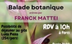Balade botanique animée par Franck Mattei et proposée par le CPIE Centre Corse A Rinascita - Santa Riparata di Muriani