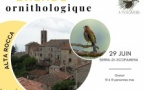 Balade ornithologique - A Sarra di Scopamena