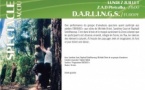 Festival Dissidanse itinérance #8 / Spectacle "D.A.R.L.I.N.G.S /Europe"  - Z.A.D Pietralba - Aiacciu - 